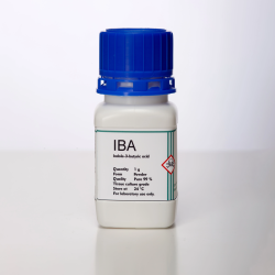 IBA | Indole-3-butyric acid
