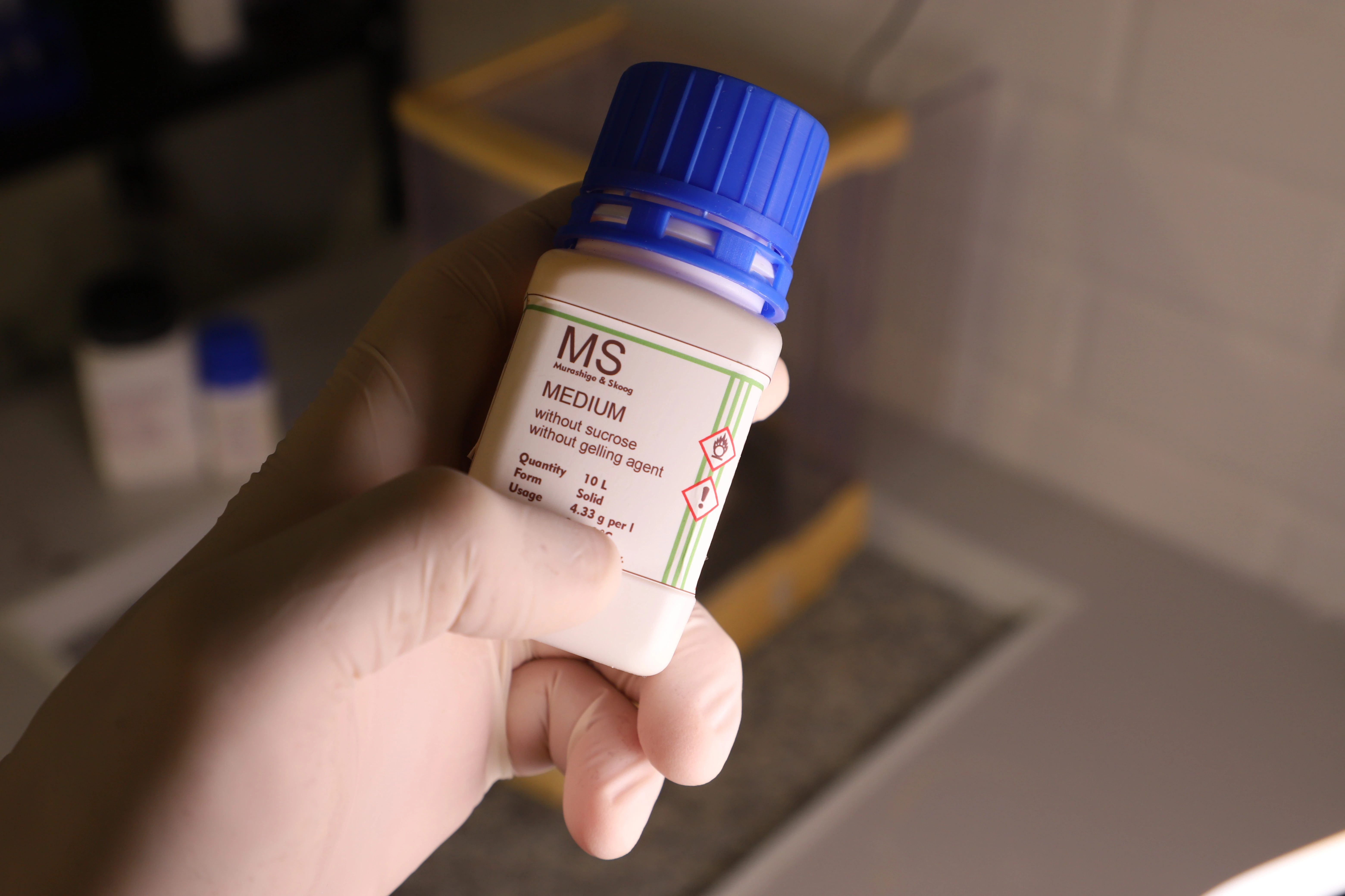 Dissolving MS powder